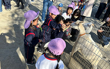 谷津動物園の様子