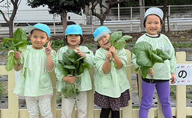 収穫体験の画像