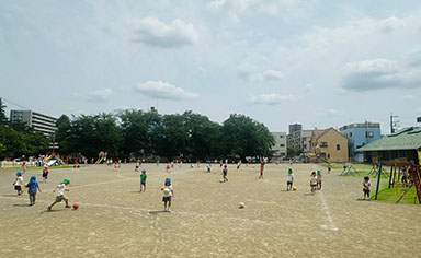 市内一広い園庭の画像